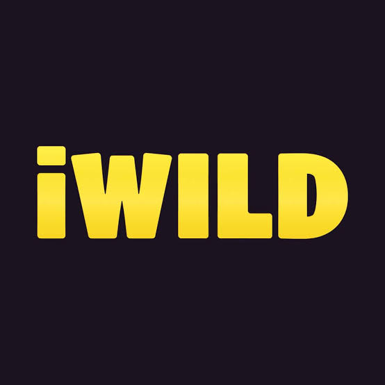iWild Casino logó, négyszintű jackpot